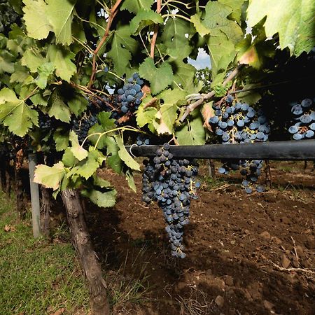 Antico Borgo Molino 7Cento Vicino Ai Giardini Di Ninfa Ξενοδοχείο Cori Εξωτερικό φωτογραφία