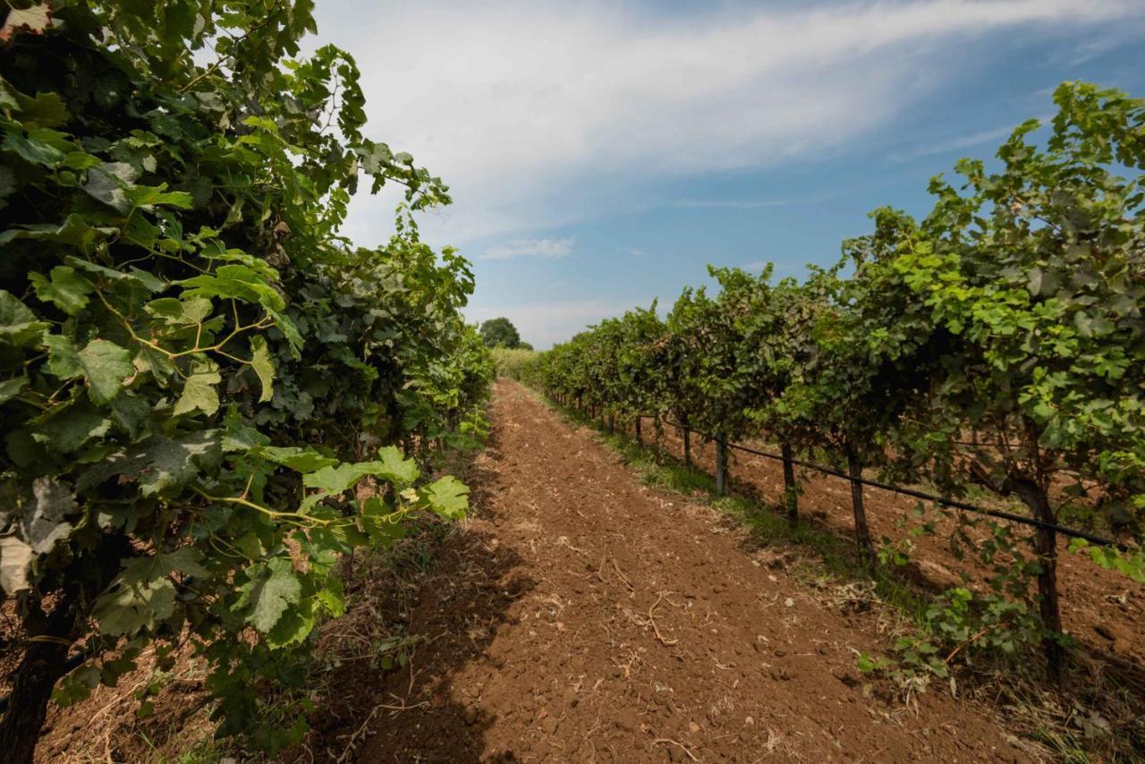 Antico Borgo Molino 7Cento Vicino Ai Giardini Di Ninfa Ξενοδοχείο Cori Εξωτερικό φωτογραφία