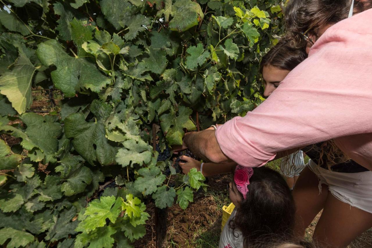 Antico Borgo Molino 7Cento Vicino Ai Giardini Di Ninfa Ξενοδοχείο Cori Εξωτερικό φωτογραφία